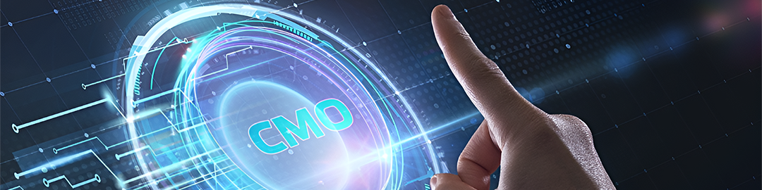 Fractional CMO Services